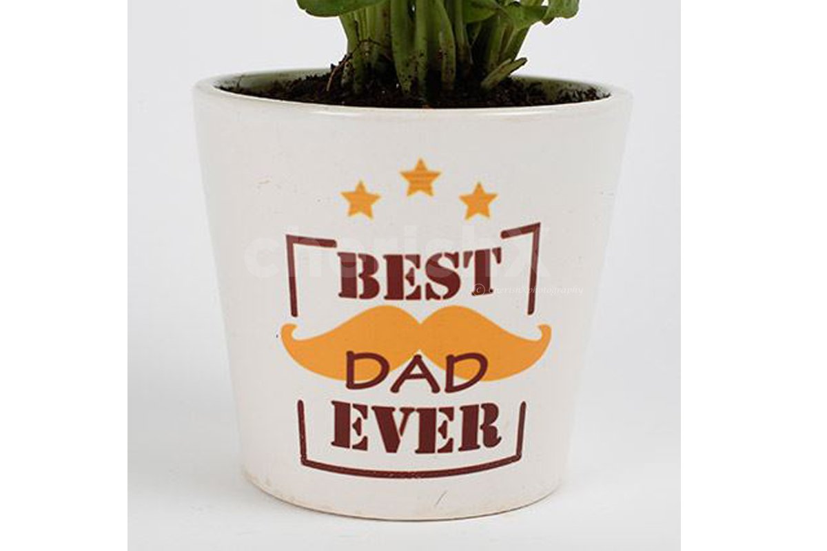 Best Dad Plant 