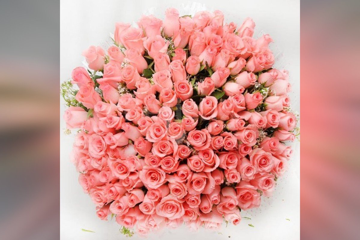 buy-100-pink-roses-grand-bouquet-online-and-get-them-delivered-for-free