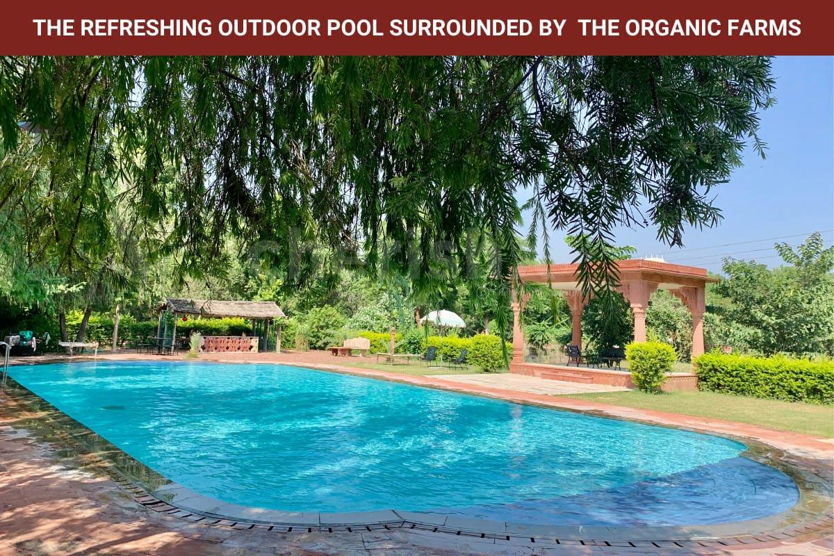 Outdoor Pool at Umaid Lake Palace CherishX