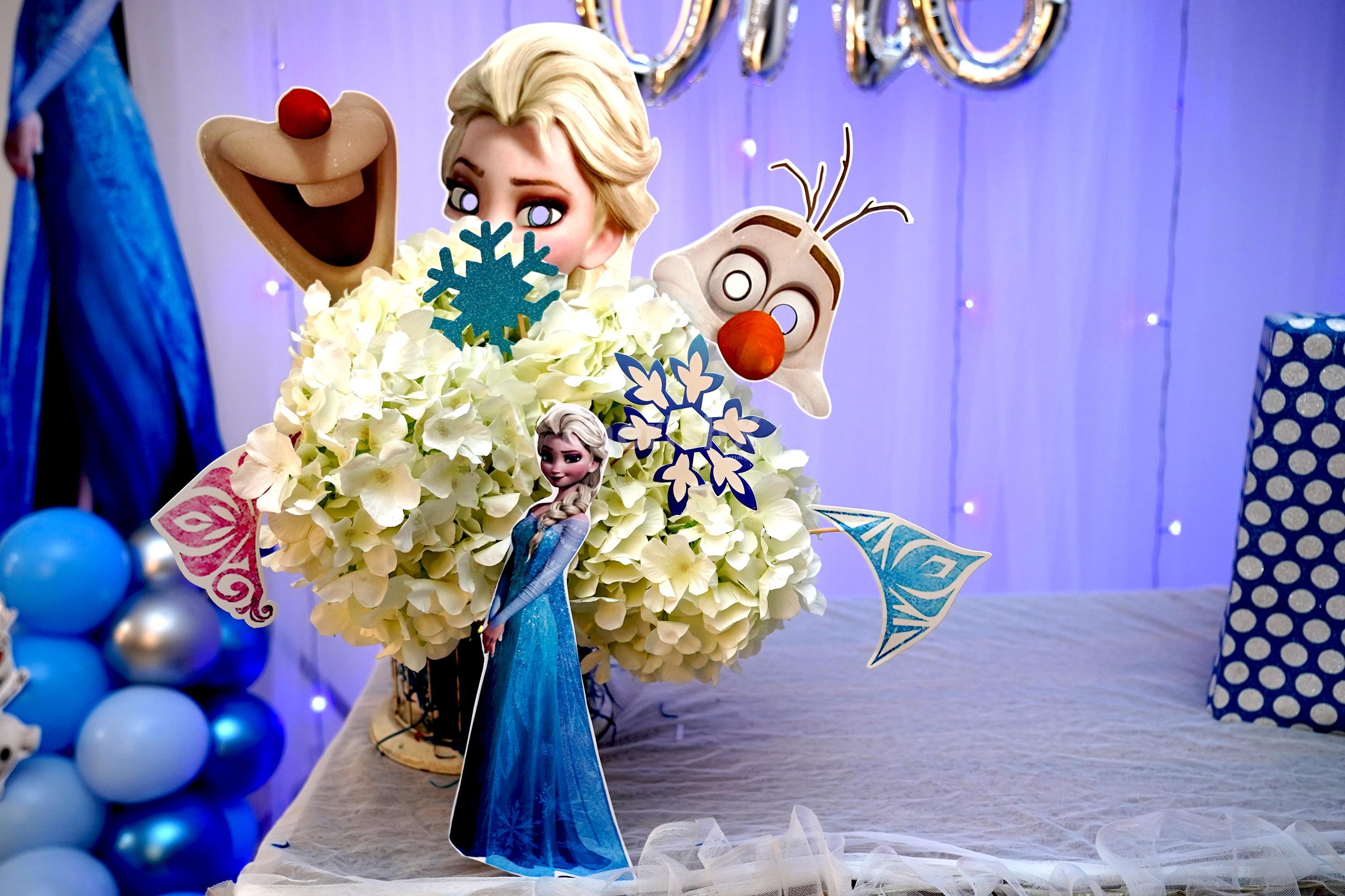 The Frozen Themed Decoration includes various character cut-outs such as Elsa, Anna and Olaf.