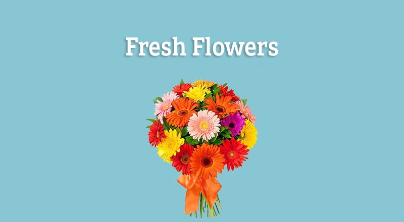 Fresh Flowers Delivery collection