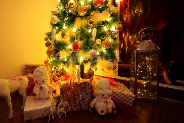 Celebrate Christmas by having this Premium Christmas Decoration!