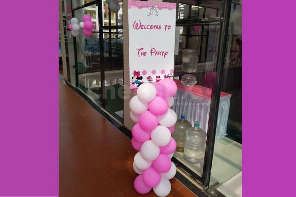 A Pink and White Themed Princess Decoration for your Baby Girl.