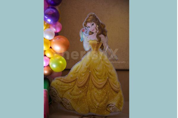 Princess Castle Theme Decoration for your Baby Girl's Birthday.