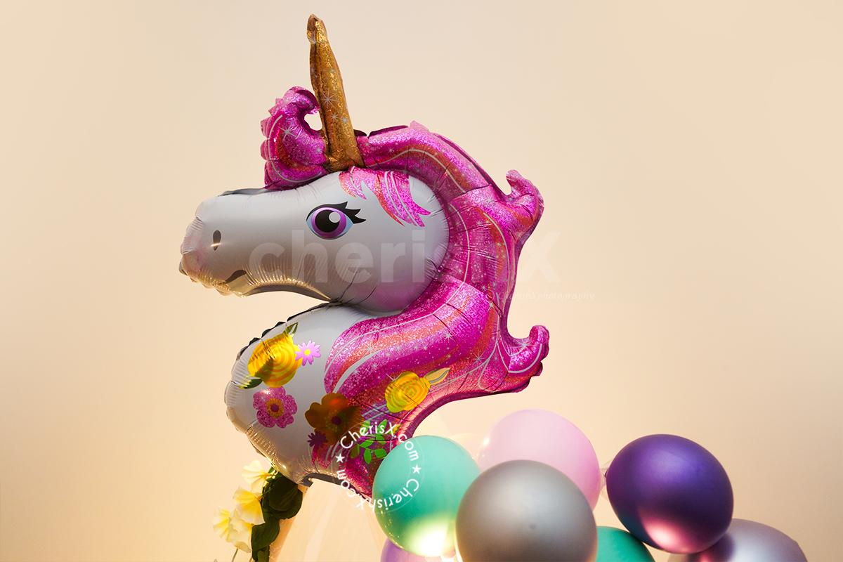 Make your kid's birthday Grand with this Unicorn Theme Party Decoration by CherishX!