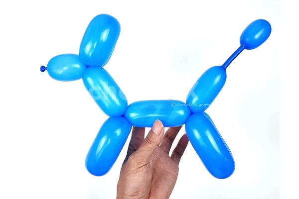 Balloon Modeling for Kids Birthday Party in Bangalore | Bangalore