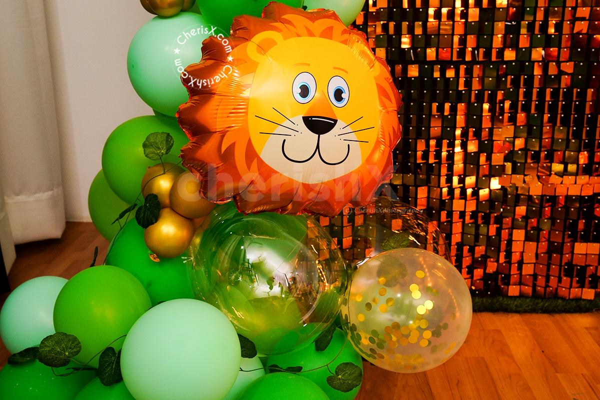 A Wild Jungle Safari Theme Decor for your Kids Birthday Party by CherishX!