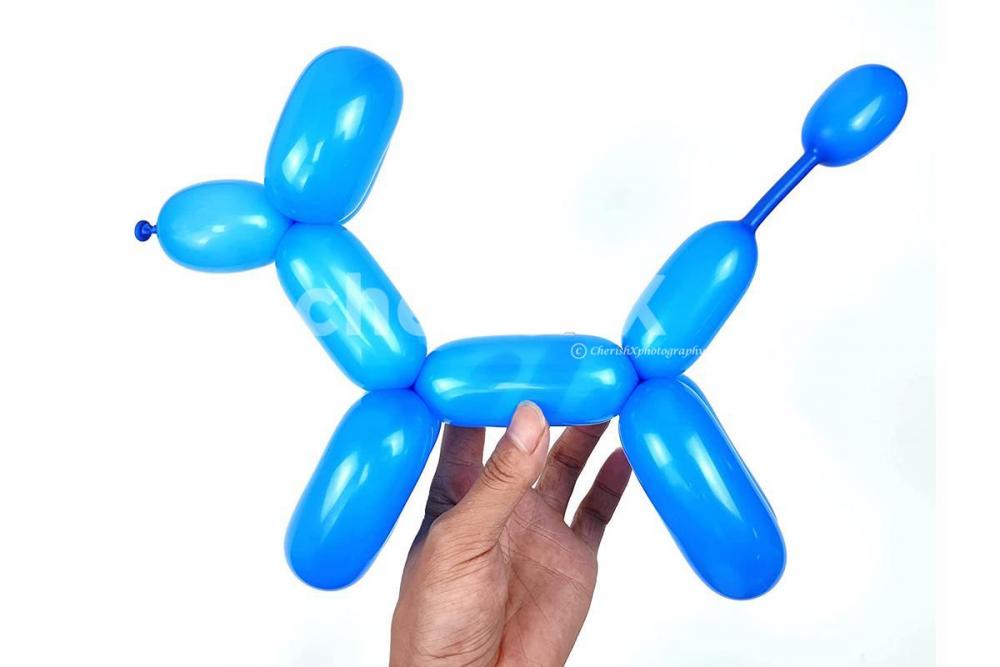 Make your Kid's Birthday Party Unforgettable by Adding CherishX's Balloon Modeling Activity!