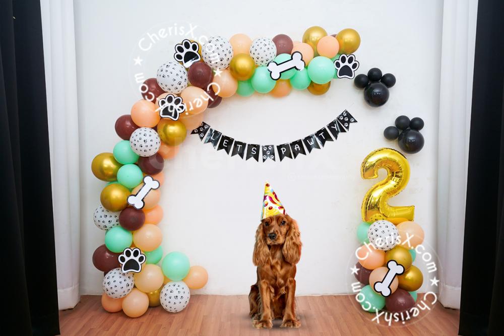 Pets and pet owners, everyone will have fun with these decorations!