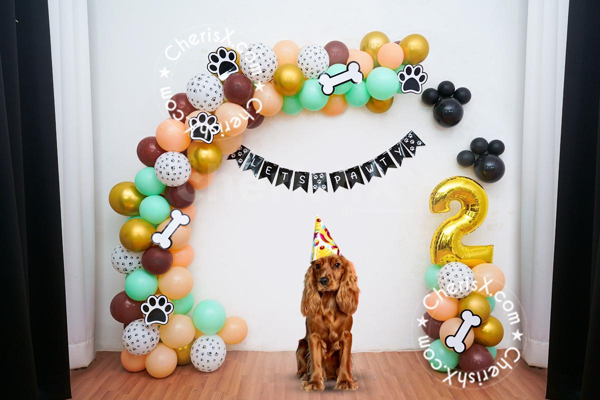 No Pet Party Is Complete With Some Cute Dog Inspired D cor Delhi NCR