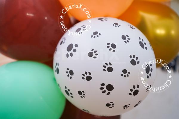 Have the best quality balloons to decorate your Dog's birthday venue