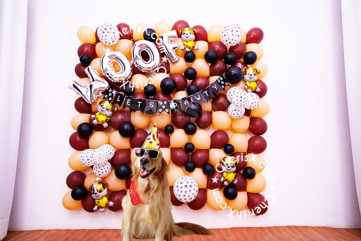 "No more boring birthday celebrations for your beloved pets, the real party begins with some fun decorations!
"