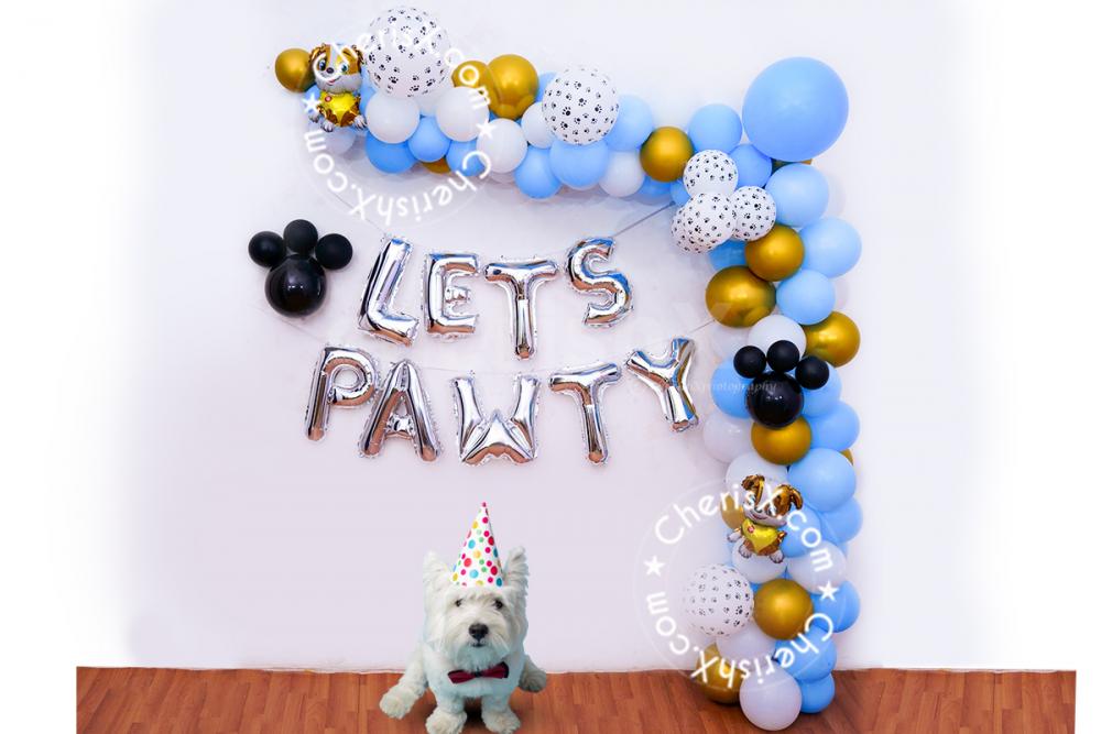The fun of having theme-inspired balloons is like no other!