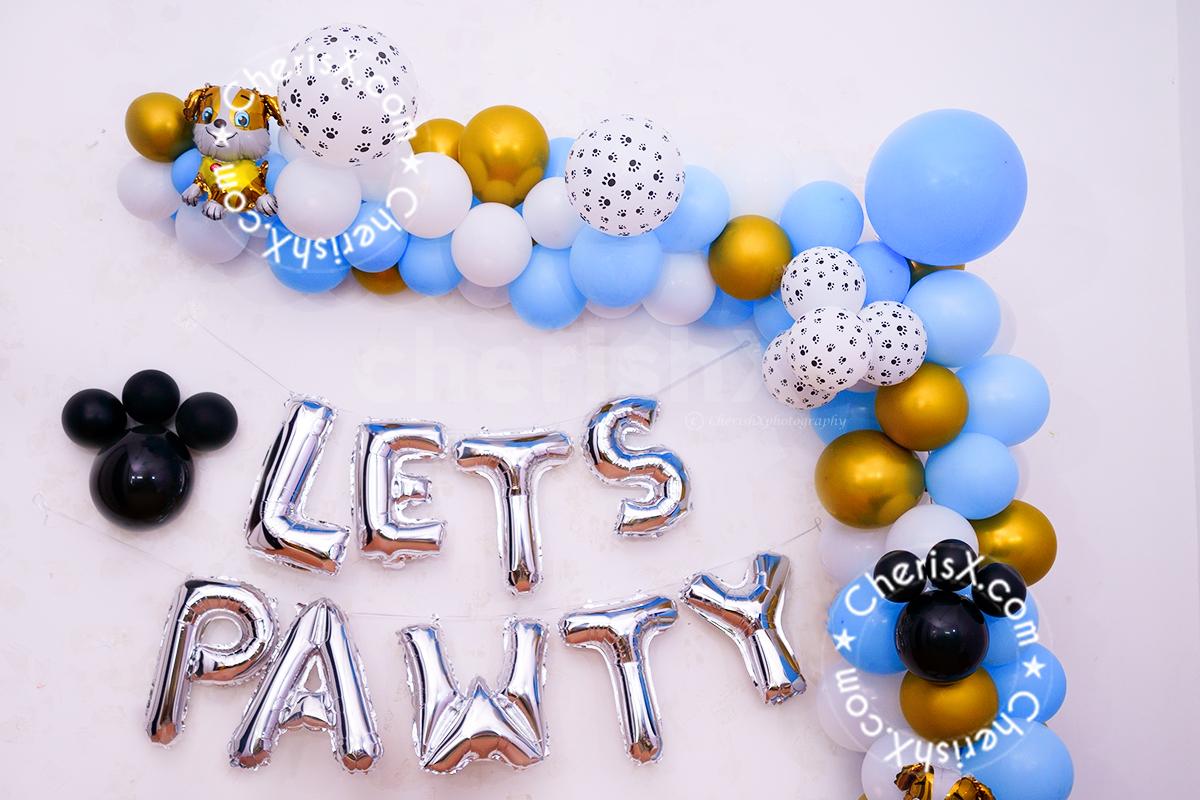 Have the most Instagram worthy pet birthday party in town!