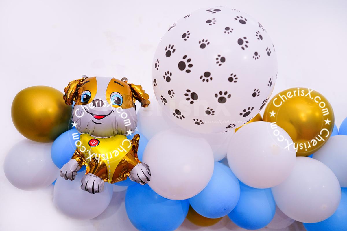 Have a picture perfect birthday party for your beloved pets.