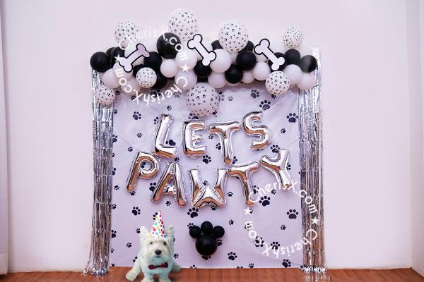 Have you ever thought of surprising your pet? With these gorgeous decorations, you sure can!