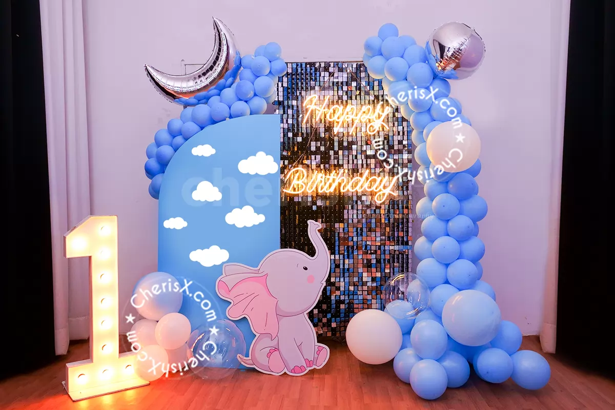 Blue - White Themed Baby Decor | Balloon Decoration in Bangalore | TogetherV