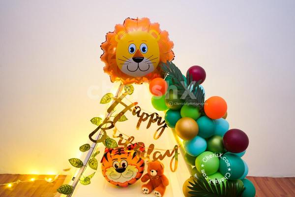 Book a Jungle Theme Decoration for your kid's birthday.