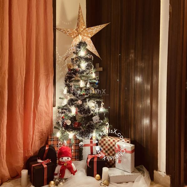 Have fun time with your family by decorating this Christmas Tree at your Home.