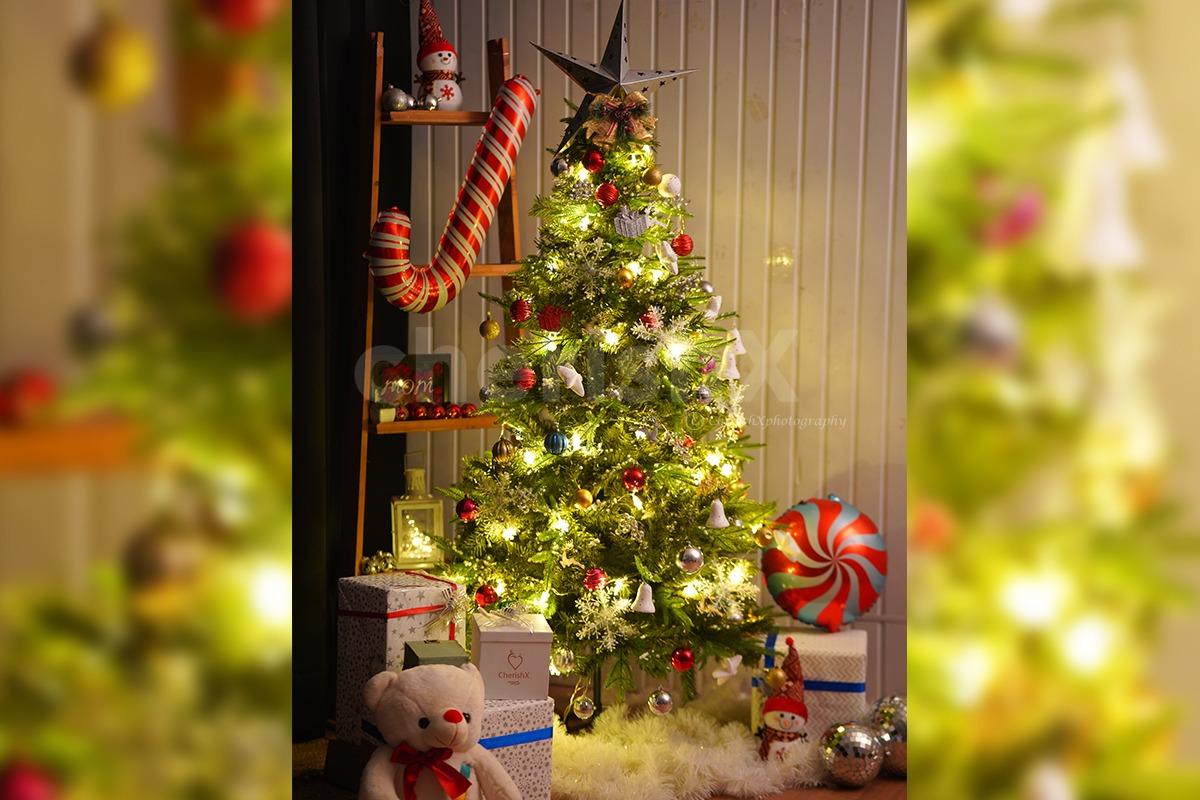 Christmas Tree and decoration office setup in Delhi,Gurgaon, Noida,NCR