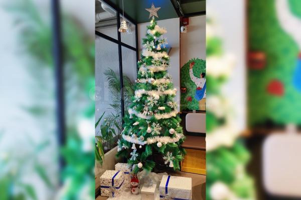 Lighten up your place with the stunning Christmas tree
