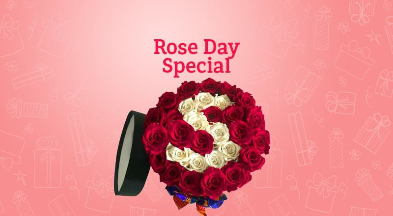 Rose Day Gifts