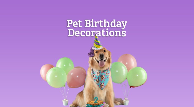Pet Party Decorations