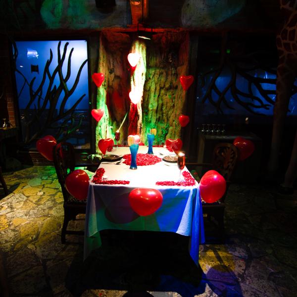 Step into a world of lush greenery and exotic wildlife at Ohri's Serengeti